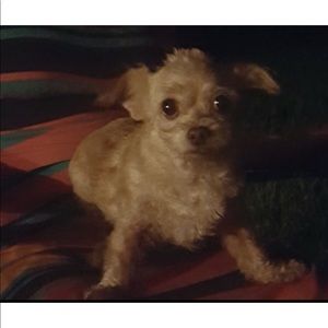 Meet your Posher, Celia